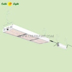 Culti light CL-GL35-1K top lighting solution