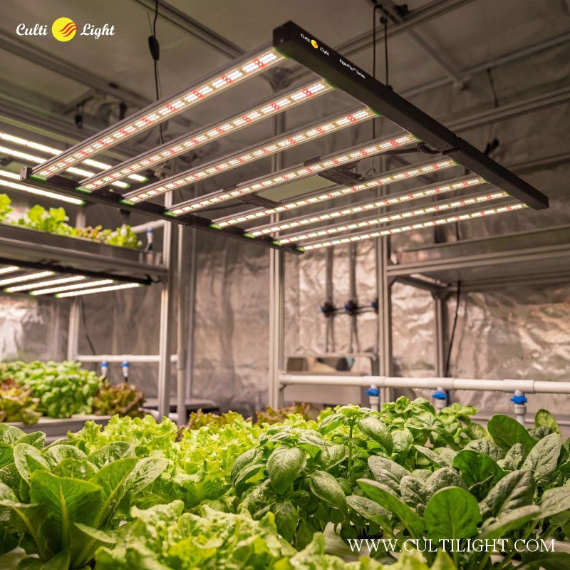 Grown plants under LED grow lights in a greenhouse setting with Culti Light branding.