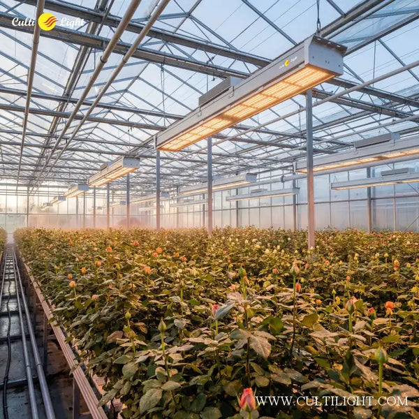 Indoor vertical farm with LED lighting and stacked leafy greens production