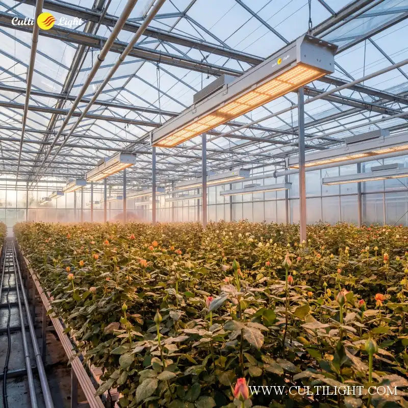 Indoor vertical farm with LED lighting and stacked leafy greens production