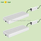 IP65-rated LED grow light – dust-tight and water-resistant for greenhouse use