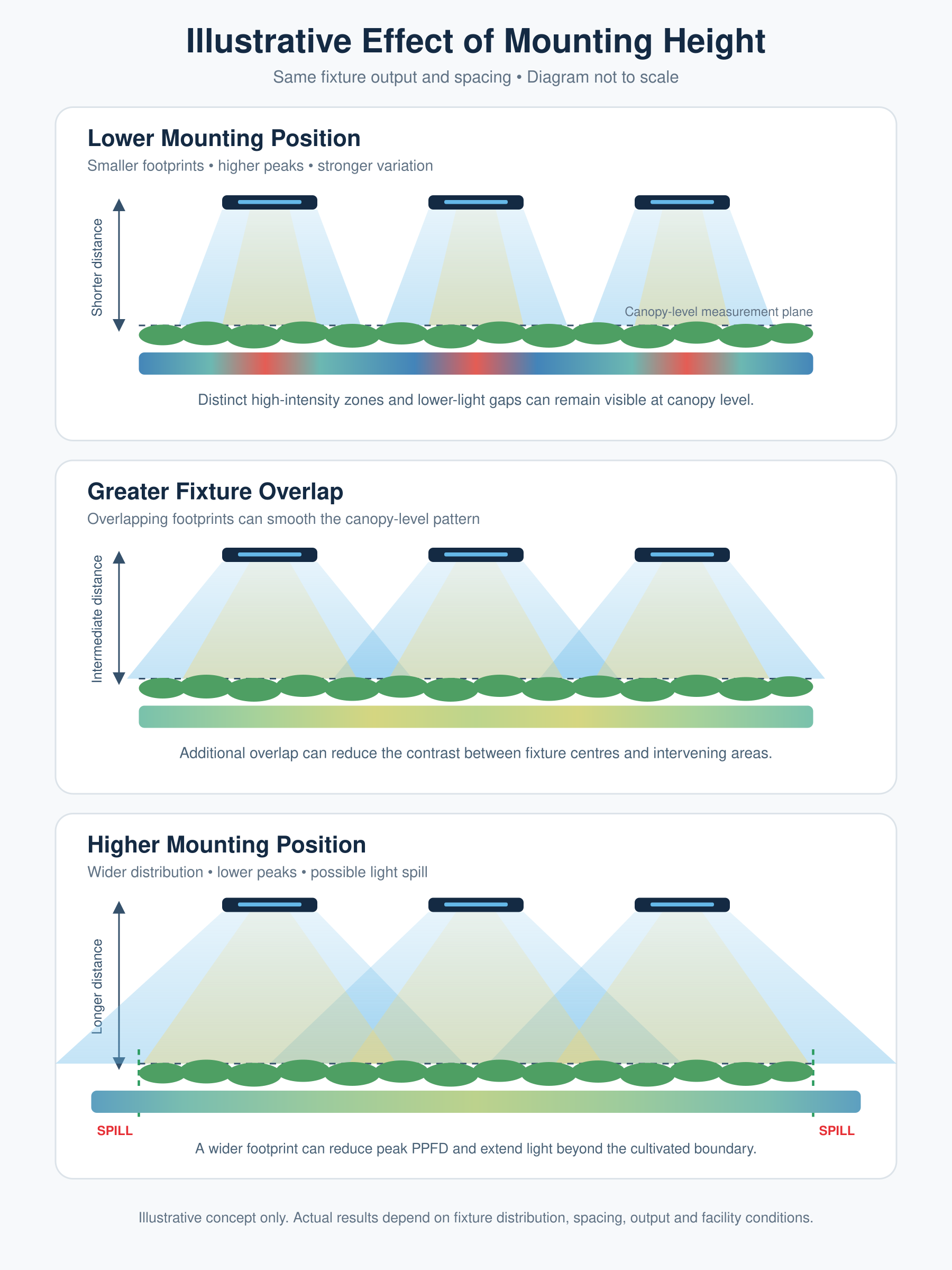 Illustrative comparison showing how lower, intermediate and higher grow-light mounting positions affect PPFD footprint, overlap and potential spill at crop-canopy level.