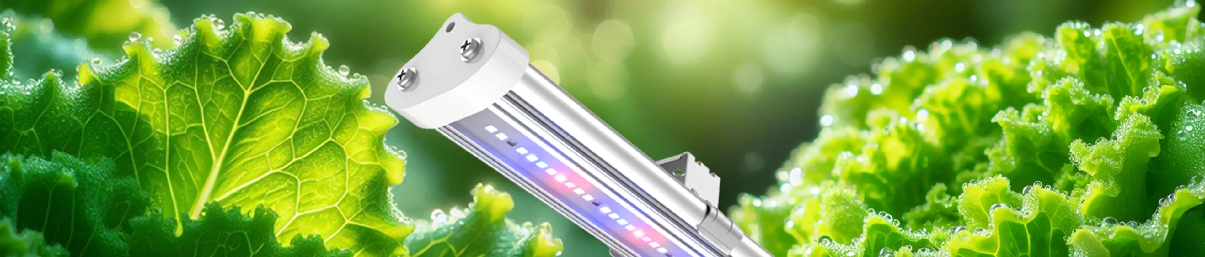 Culti Light Vertical farming grow lights for lettuce and fresh herbs